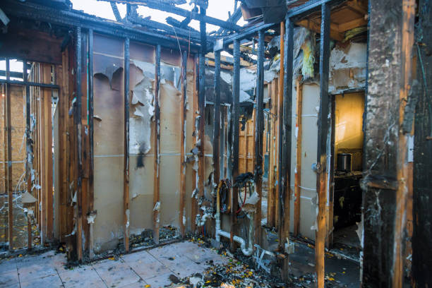 Professional Smoke Damage Removal technician working in Mendenhall, MS